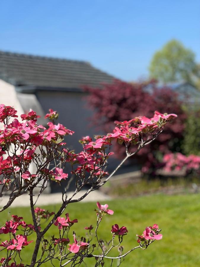 Ikigai B&B - Wellness Oud-Turnhout Exterior photo